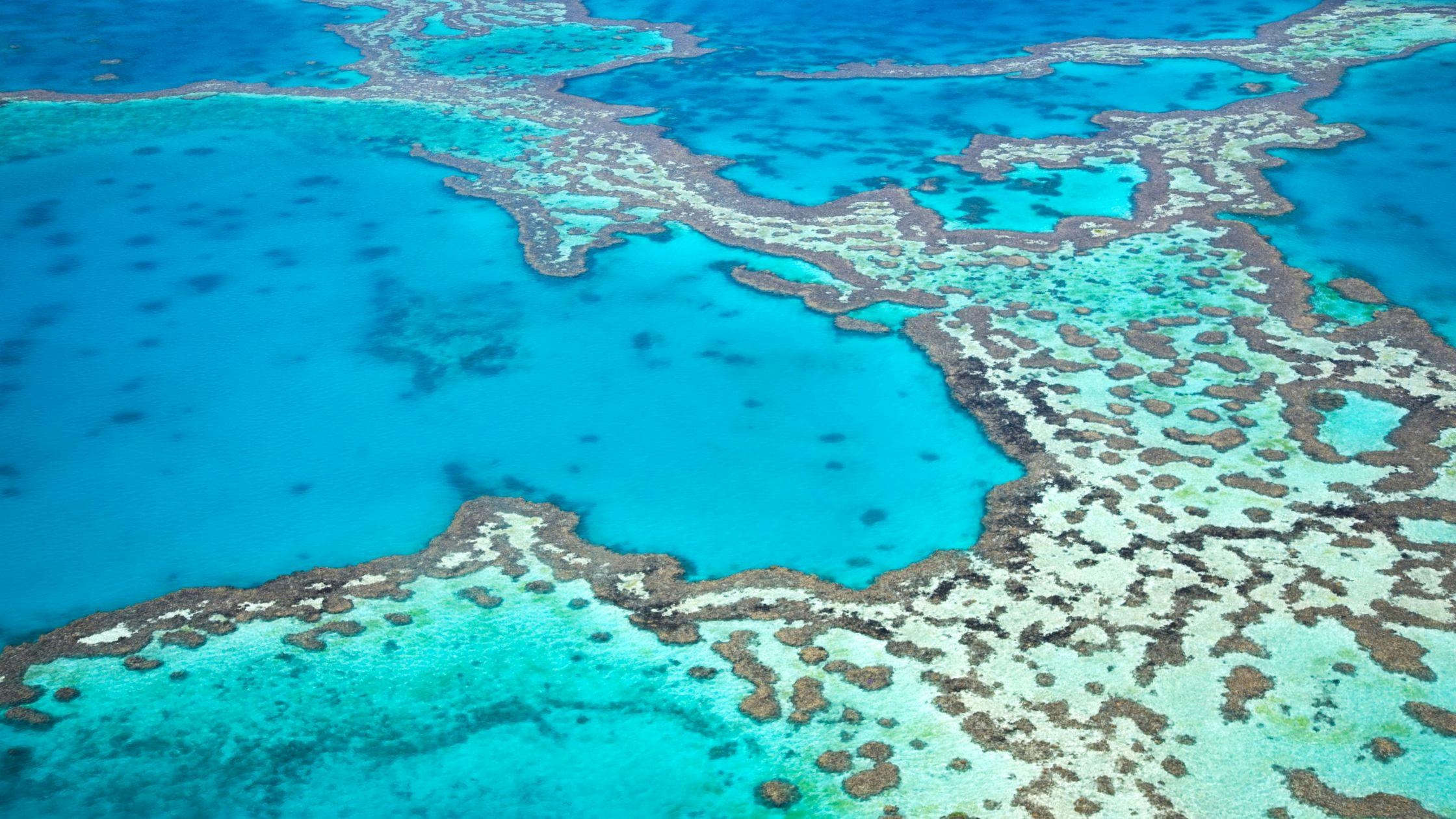 Great Barrier Reef, Queensland